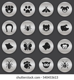 Set Of 16 Editable Nature Icons. Includes Symbols Such As Feline, Cockroach, Forepaw And More. Can Be Used For Web, Mobile, UI And Infographic Design.
