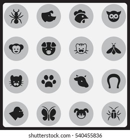 Set Of 16 Editable Nature Icons. Includes Symbols Such As Honey, Baboon, Talisman And More. Can Be Used For Web, Mobile, UI And Infographic Design.