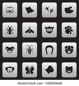 Set Of 16 Editable Nature Icons. Includes Symbols Such As Bird, Puppy, Grizzly And More. Can Be Used For Web, Mobile, UI And Infographic Design.
