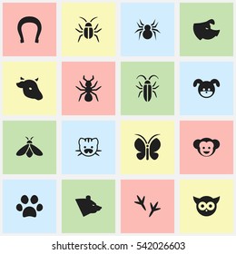 Set Of 16 Editable Nature Icons. Includes Symbols Such As Arachind, Bug, Bird And More. Can Be Used For Web, Mobile, UI And Infographic Design.