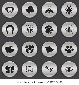 Set Of 16 Editable Nature Icons. Includes Symbols Such As Baboon, Honey, Sow And More. Can Be Used For Web, Mobile, UI And Infographic Design.