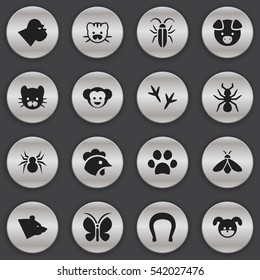 Set Of 16 Editable Nature Icons. Includes Symbols Such As Bedbug, Bug, Rooster And More. Can Be Used For Web, Mobile, UI And Infographic Design.