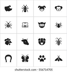 Set Of 16 Editable Nature Icons. Includes Symbols Such As Bird, Beast, Puppy And More. Can Be Used For Web, Mobile, UI And Infographic Design.