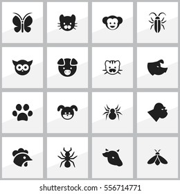 Set Of 16 Editable Nature Icons. Includes Symbols Such As Arachind, Bull, Bug And More. Can Be Used For Web, Mobile, UI And Infographic Design.