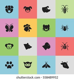 Set Of 16 Editable Nature Icons. Includes Symbols Such As Bug, Hog, Baboon And More. Can Be Used For Web, Mobile, UI And Infographic Design.