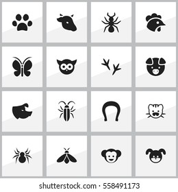 Set Of 16 Editable Nature Icons. Includes Symbols Such As Hog, Sow, Rooster And More. Can Be Used For Web, Mobile, UI And Infographic Design.