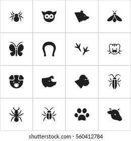 Set Of 16 Editable Nature Icons. Includes Symbols Such As Chimpanzee, Bird, Moth And More. Can Be Used For Web, Mobile, UI And Infographic Design.