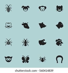Set Of 16 Editable Nature Icons. Includes Symbols Such As Grizzly, Baboon, Bird And More. Can Be Used For Web, Mobile, UI And Infographic Design.