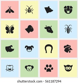 Set Of 16 Editable Nature Icons. Includes Symbols Such As Rooster, Cockroach, Honey And More. Can Be Used For Web, Mobile, UI And Infographic Design.