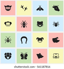 Set Of 16 Editable Nature Icons. Includes Symbols Such As Moth, Bedbug, Footprint And More. Can Be Used For Web, Mobile, UI And Infographic Design.