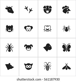 Set Of 16 Editable Nature Icons. Includes Symbols Such As Puppy, Rooster, Beast And More. Can Be Used For Web, Mobile, UI And Infographic Design.