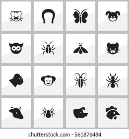 Set Of 16 Editable Nature Icons. Includes Symbols Such As Bird, Talisman, Bedbug And More. Can Be Used For Web, Mobile, UI And Infographic Design.