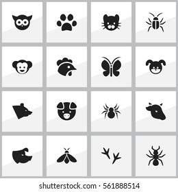 Set Of 16 Editable Nature Icons. Includes Symbols Such As Bull, Forepaw, Bedbug And More. Can Be Used For Web, Mobile, UI And Infographic Design.