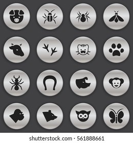 Set Of 16 Editable Nature Icons. Includes Symbols Such As Baboon, Sow, Bird And More. Can Be Used For Web, Mobile, UI And Infographic Design.