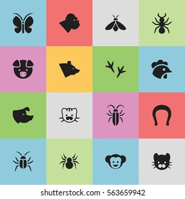 Set Of 16 Editable Nature Icons. Includes Symbols Such As Baboon, Cockroach, Beast And More. Can Be Used For Web, Mobile, UI And Infographic Design.