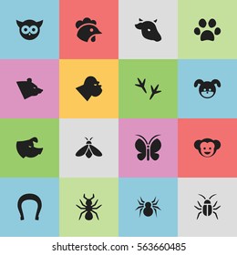 Set Of 16 Editable Nature Icons. Includes Symbols Such As Rooster, Footprint, Honey And More. Can Be Used For Web, Mobile, UI And Infographic Design.