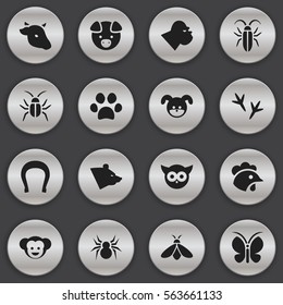 Set Of 16 Editable Nature Icons. Includes Symbols Such As Arachind, Bug, Bull And More. Can Be Used For Web, Mobile, UI And Infographic Design.