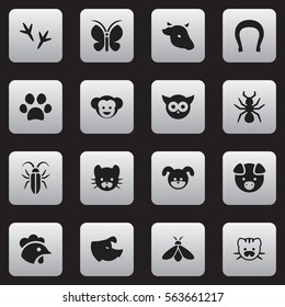 Set Of 16 Editable Nature Icons. Includes Symbols Such As Baboon, Rooster, Bird And More. Can Be Used For Web, Mobile, UI And Infographic Design.