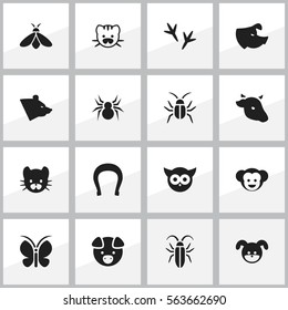 Set Of 16 Editable Nature Icons. Includes Symbols Such As Talisman, Arachind, Moth And More. Can Be Used For Web, Mobile, UI And Infographic Design.