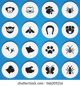 Set Of 16 Editable Nature Icons. Includes Symbols Such As Chimpanzee, Bedbug, Hog And More. Can Be Used For Web, Mobile, UI And Infographic Design.