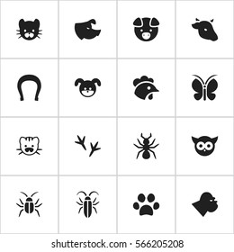 Set Of 16 Editable Nature Icons. Includes Symbols Such As Puppy, Bull, Footprint And More. Can Be Used For Web, Mobile, UI And Infographic Design.