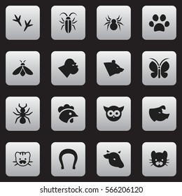 Set Of 16 Editable Nature Icons. Includes Symbols Such As Bedbug, Moth, Bird And More. Can Be Used For Web, Mobile, UI And Infographic Design.