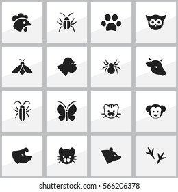 Set Of 16 Editable Nature Icons. Includes Symbols Such As Footprint, Rooster, Cockroach And More. Can Be Used For Web, Mobile, UI And Infographic Design.