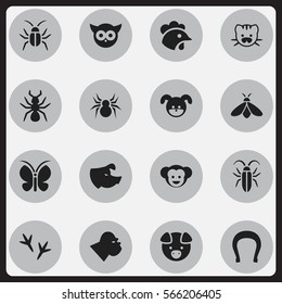 Set Of 16 Editable Nature Icons. Includes Symbols Such As Bug, Cockroach, Hog And More. Can Be Used For Web, Mobile, UI And Infographic Design.