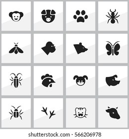 Set Of 16 Editable Nature Icons. Includes Symbols Such As Hog, Beast, Sow And More. Can Be Used For Web, Mobile, UI And Infographic Design.