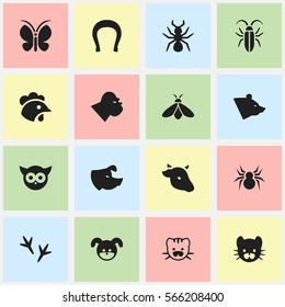 Set Of 16 Editable Nature Icons. Includes Symbols Such As Arachind, Footprint, Bug And More. Can Be Used For Web, Mobile, UI And Infographic Design.