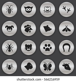 Set Of 16 Editable Nature Icons. Includes Symbols Such As Honey, Moth, Bird And More. Can Be Used For Web, Mobile, UI And Infographic Design.