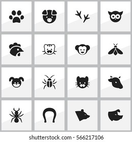 Set Of 16 Editable Nature Icons. Includes Symbols Such As Baboon, Forepaw, Bird And More. Can Be Used For Web, Mobile, UI And Infographic Design.