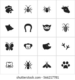 Set Of 16 Editable Nature Icons. Includes Symbols Such As Beast, Moth, Talisman And More. Can Be Used For Web, Mobile, UI And Infographic Design.