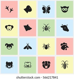 Set Of 16 Editable Nature Icons. Includes Symbols Such As Puppy, Footprint, Feline And More. Can Be Used For Web, Mobile, UI And Infographic Design.