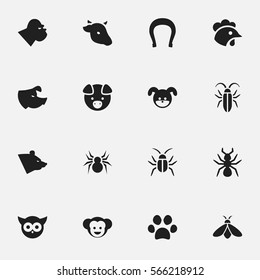 Set Of 16 Editable Nature Icons. Includes Symbols Such As Bug, Chimpanzee, Sow And More. Can Be Used For Web, Mobile, UI And Infographic Design.