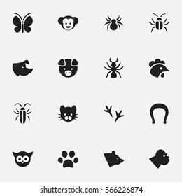 Set Of 16 Editable Nature Icons. Includes Symbols Such As Forepaw, Arachind, Grizzly And More. Can Be Used For Web, Mobile, UI And Infographic Design.