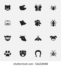 Set Of 16 Editable Nature Icons. Includes Symbols Such As Cockroach, Forepaw, Hog And More. Can Be Used For Web, Mobile, UI And Infographic Design.