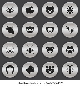 Set Of 16 Editable Nature Icons. Includes Symbols Such As Beast, Footprint, Bedbug And More. Can Be Used For Web, Mobile, UI And Infographic Design.