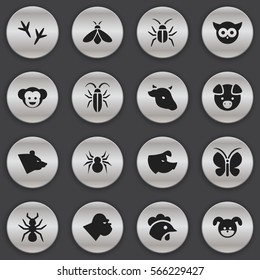 Set Of 16 Editable Nature Icons. Includes Symbols Such As Footprint, Bird, Bedbug And More. Can Be Used For Web, Mobile, UI And Infographic Design.