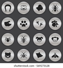 Set Of 16 Editable Nature Icons. Includes Symbols Such As Honey, Baboon, Puppy And More. Can Be Used For Web, Mobile, UI And Infographic Design.