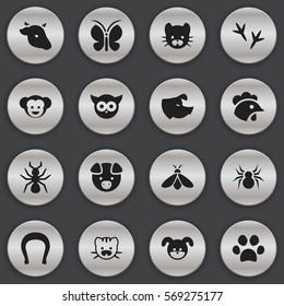 Set Of 16 Editable Nature Icons. Includes Symbols Such As Sow, Moth, Rooster And More. Can Be Used For Web, Mobile, UI And Infographic Design.