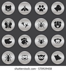Set Of 16 Editable Nature Icons. Includes Symbols Such As Hog, Bedbug, Honey And More. Can Be Used For Web, Mobile, UI And Infographic Design.