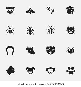 Set Of 16 Editable Nature Icons. Includes Symbols Such As Puppy, Baboon, Arachind And More. Can Be Used For Web, Mobile, UI And Infographic Design.