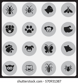 Set Of 16 Editable Nature Icons. Includes Symbols Such As Cockroach, Grizzly, Bedbug And More. Can Be Used For Web, Mobile, UI And Infographic Design.