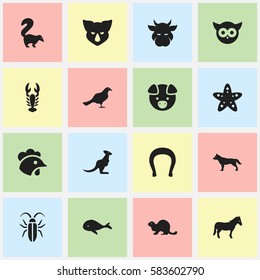 Set Of 16 Editable Nature Icons. Includes Symbols Such As Rhinoceros, Dog, Gull And More. Can Be Used For Web, Mobile, UI And Infographic Design.