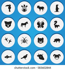Set Of 16 Editable Nature Icons. Includes Symbols Such As Horse, Cockroach, Cow And More. Can Be Used For Web, Mobile, UI And Infographic Design.