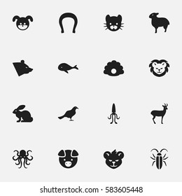 Set Of 16 Editable Nature Icons. Includes Symbols Such As Bunny, Lamb, Puppy And More. Can Be Used For Web, Mobile, UI And Infographic Design.