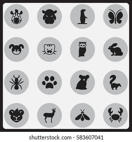 Set Of 16 Editable Nature Icons. Includes Symbols Such As Reindeer, Honey, Hippopotamus And More. Can Be Used For Web, Mobile, UI And Infographic Design.