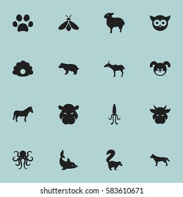 Set Of 16 Editable Nature Icons. Includes Symbols Such As Puppy, Playful Fish, Conch And More. Can Be Used For Web, Mobile, UI And Infographic Design.