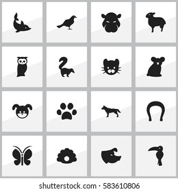 Set Of 16 Editable Nature Icons. Includes Symbols Such As Feline, Owl, Moth And More. Can Be Used For Web, Mobile, UI And Infographic Design.